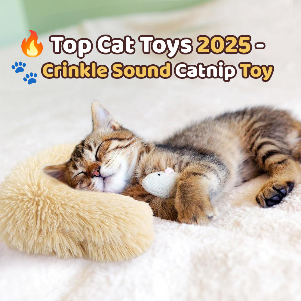 🐾Crinkle Sound Catnip Toy