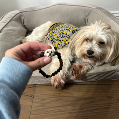 Handcrafted Pet Bead Bracelet