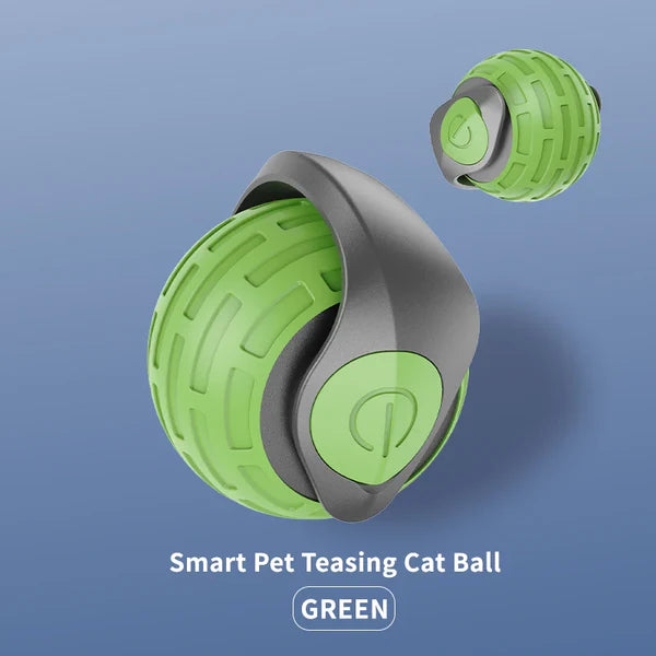 Smart Automatic Rolling Pet Ball